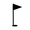 Black flag with white background